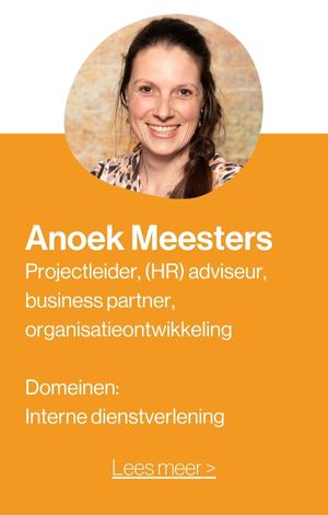 Publiek Maatwerk Consultant Anoek Meesters